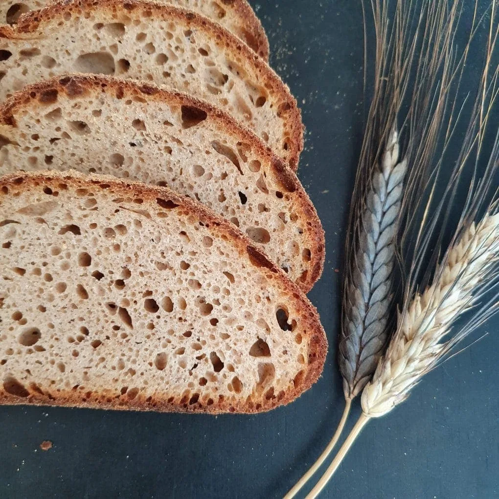 Brotscheiben Teil mit 2 Ähren auf schwarzem Untergrund