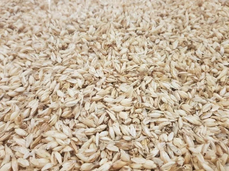 Dinkelspelzen 50 Liter Volumen