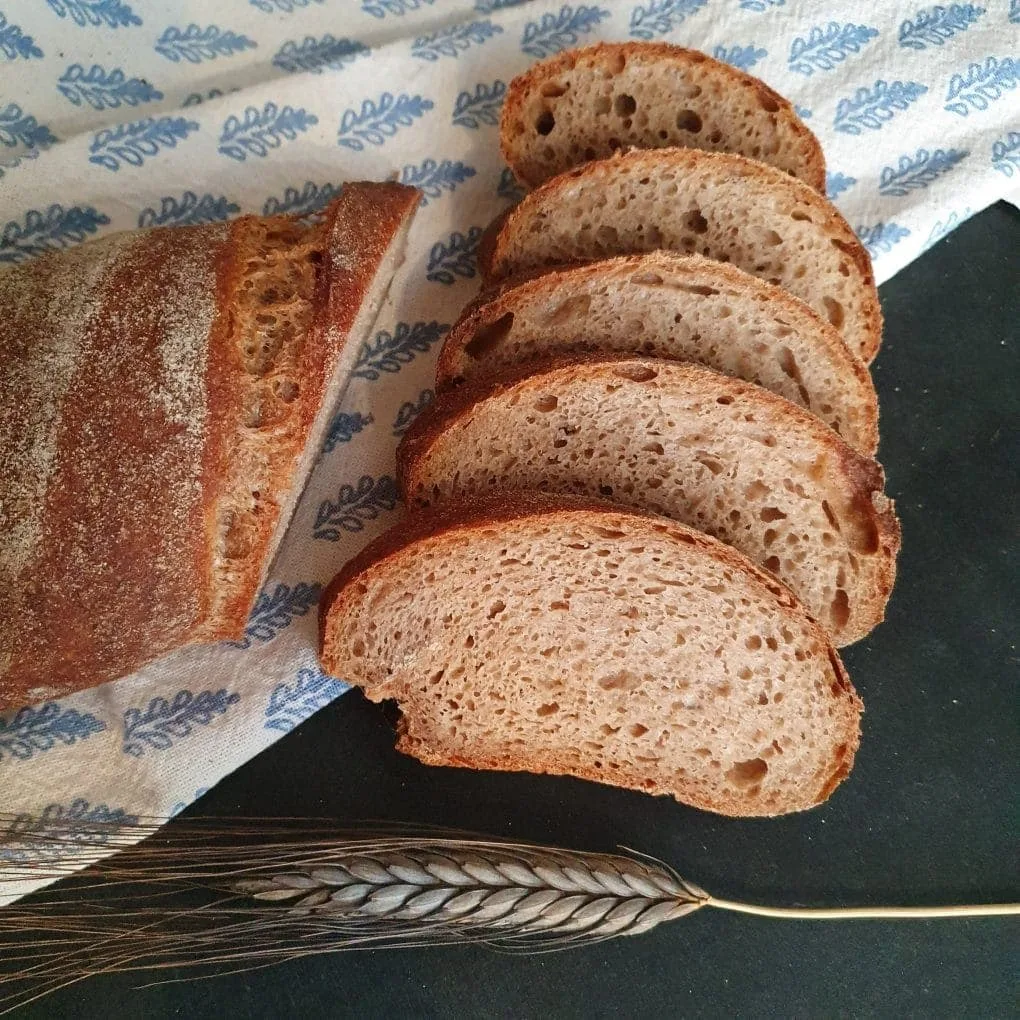 Emmerwurzel Friedrich aufgeschnitten