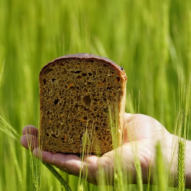 "flotte Karotte" Rezeptdownload für Kinderbrot