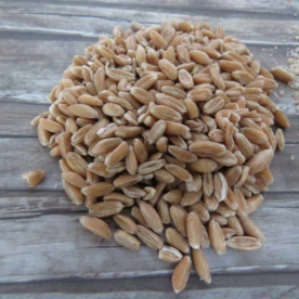 Dinkel* – Bild 2