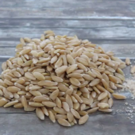Einkorn – Bild 2