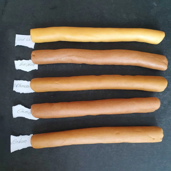 Teigrollen aus verschiedenen Getreidesorten für feine Traumstücke