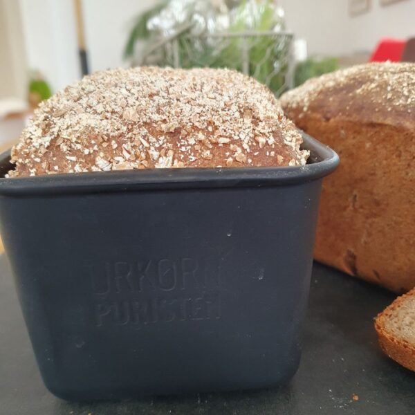 Brot in der schwarzen Backform wölbt sich leicht über den Rand. Von der Seite fotografiert