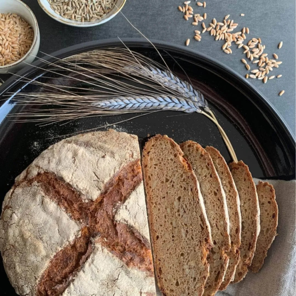 Urkornbrot Gezwitscher von oben. aufgeschnittene Scheiben liegen neben dem Brotlaib. Schwarze Getreideähren und getreidekörner als Deko liegen daneben