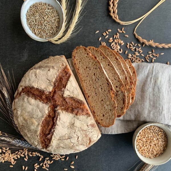 Urkornbrot Gezwitscher auf schwarzem Tisch. Aufgeschnittene Scheiben sind von oben zu sehen. Daneben ein Tuch, Getreideähren und Körner in kleinen Schalen zur Deko