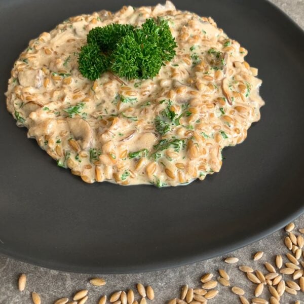 auf dem unteren teil des bildes ist eine grau arbeitsfläche aus stein zu sehen. der rest des bildes nimmt ein grauer matter teller ein, welcher rechts, links und oben angeschnitten ist und nicht kompllett zu shene ist. in der mitte des tellers befindet sich das urkorn risotto, welches rund auf dem teller platziert wurd und in der mitte mit frischer petersilie verziert. das risotto besteht aus einkorn, rahm-champignons und petersilie. unten auf der arbeitsfläche aus stein sind einkorn körner zu sehen, sie wurden gleichmäßig verteilt.