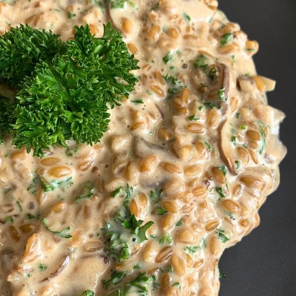 zu sehen ist einen nahaufnahme des einkorn risottos, welche mit rahm champignons und petersilie angerichtet wurde. rechts des bildes ist der graue matte teller zu sheen, auf welchem das risotto angerichtet wurde. außerdem wurde das gericht mit frischer petersilie getoppt. das einkorn risotto nimmt den großteil des bildes ein.