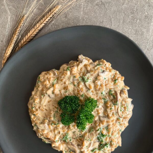 Auf dem Bild zu sehen ist eine graue Steinarbeitsfläche, auf welcher ein grauer Teller halb angeschnitten zu sehen ist. Der teller ragt aus dem unteren teil des bildes heraus. oben ist die arbeitsfläche zu sehen und zischen dem teller und der oberren linken ecke sind zwei ähren des Urgetreide einkorn zu sehen. Auf dem grauen matten teller befindet sich in der mitte platziert ein Einkorn risotto mit rahm-chamoginons und petersilie. in der mitte des gerichtes ist etwas petersilie zur deko angerichtet.